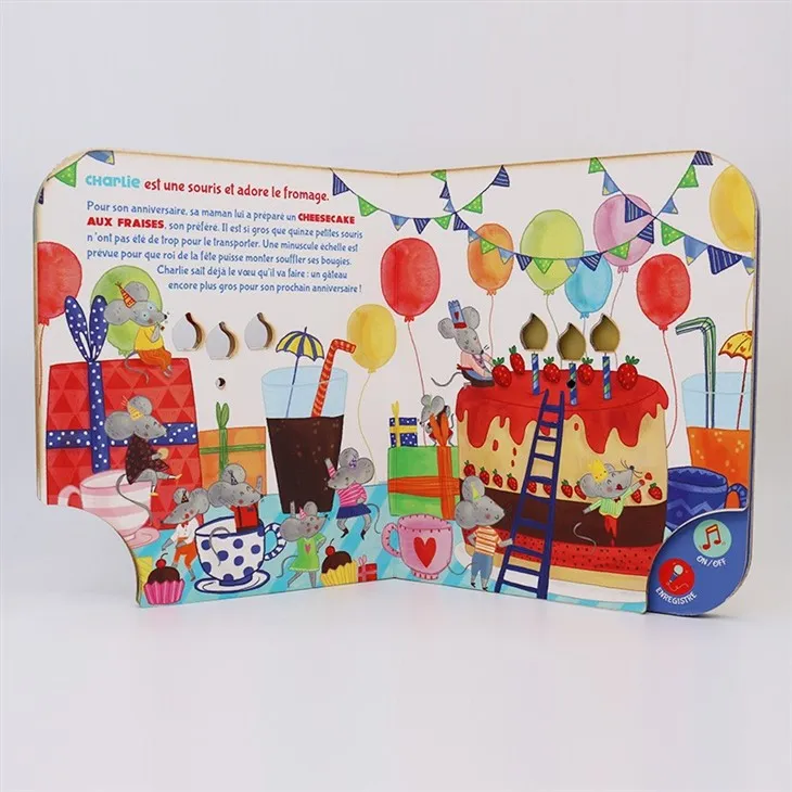 Maryanne Amacher Book With Customize Sound